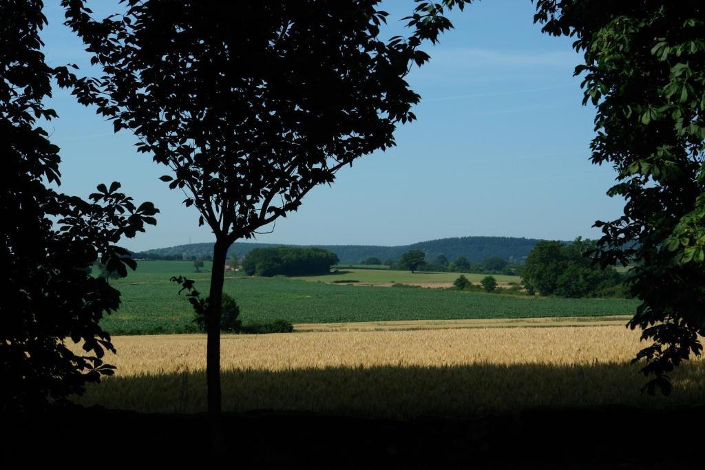 Chambres D'Hotes - Domaine Des Perrieres Crux-la-Ville Zewnętrze zdjęcie
